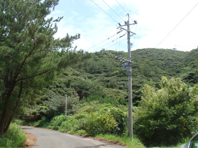 a0019212_2316040.jpg