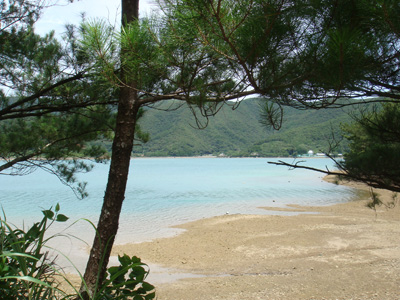 a0019212_23163221.jpg