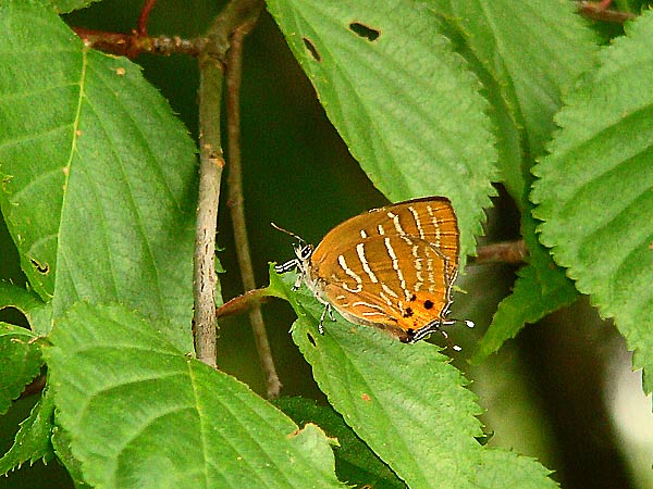 b0033112_214883.jpg