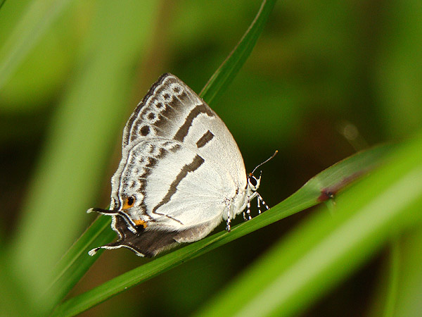 b0033112_21552100.jpg