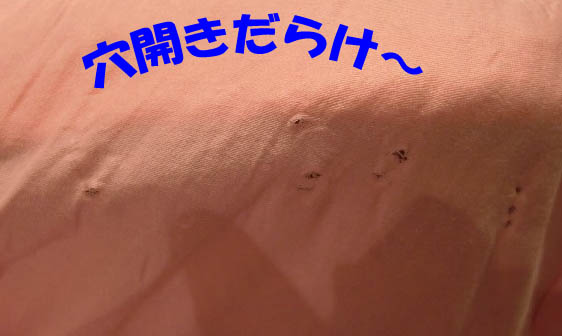 c0133013_1534846.jpg