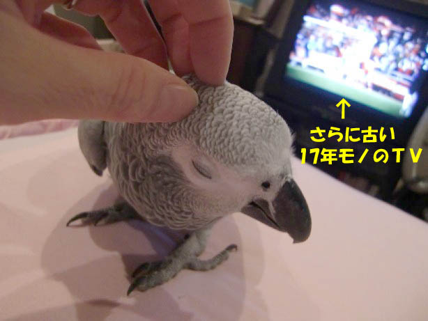 c0133013_15401894.jpg