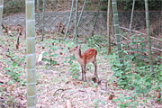 f0191517_13254541.jpg