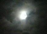 b0167519_13393599.jpg