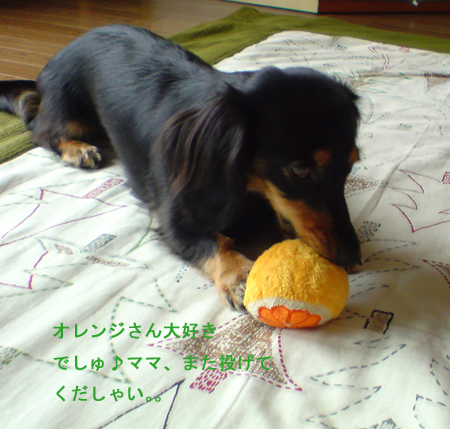 c0117831_20431232.jpg