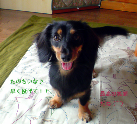 c0117831_2044563.jpg