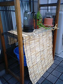 d0048332_15401516.gif