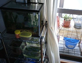 d0048332_15402995.gif