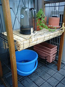 d0048332_1540371.gif