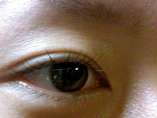 a0083538_14283050.jpg