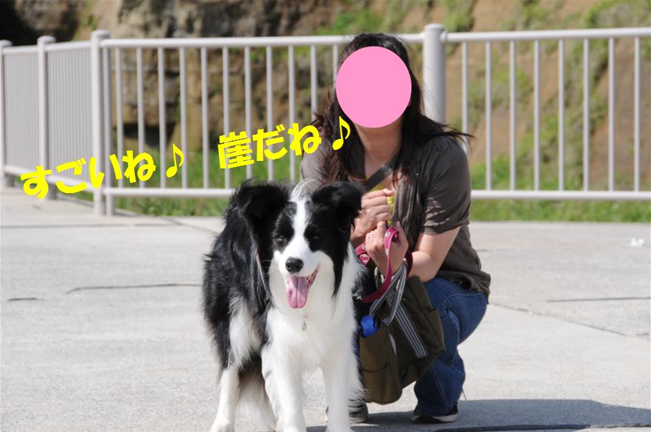 c0147241_23224830.jpg