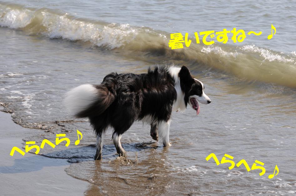 c0147241_23231147.jpg