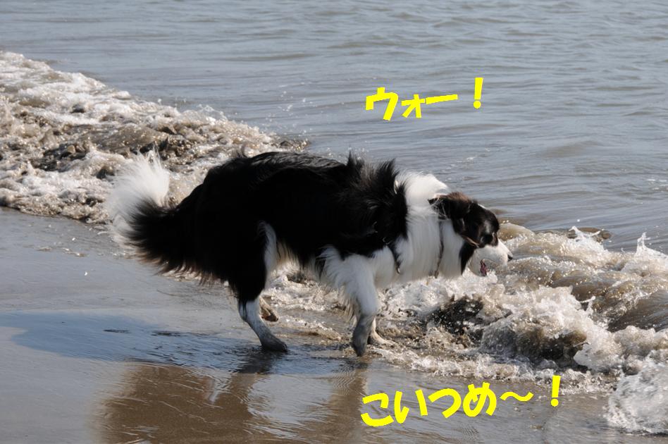 c0147241_23233036.jpg