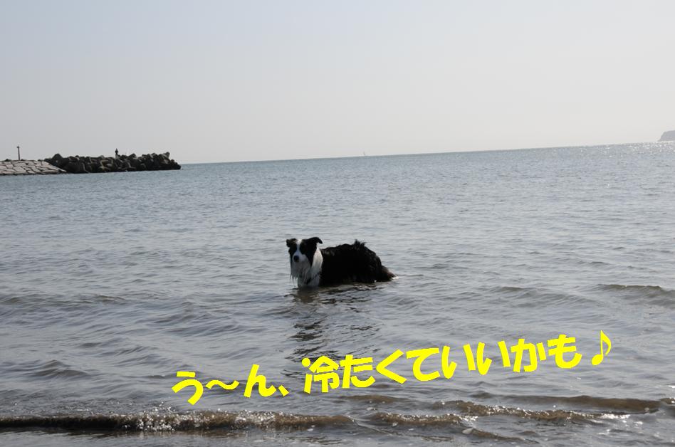 c0147241_23242031.jpg