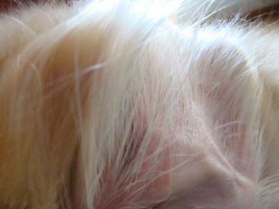 e0158841_1463921.jpg