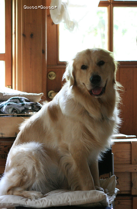 a0116048_094360.jpg