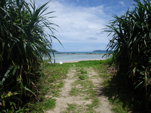 b0042548_8274856.jpg