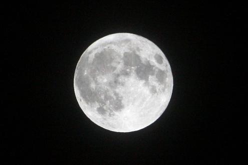 f0046854_20465646.jpg