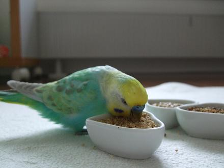 f0149057_0141335.jpg
