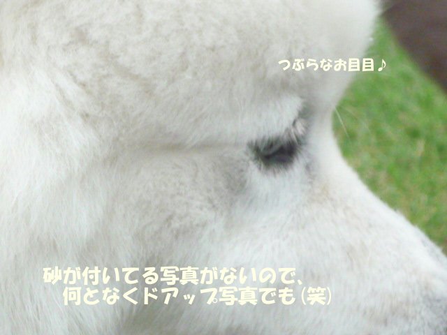 e0176159_22103516.jpg