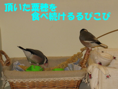 b0158061_2155194.jpg