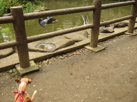 f0158862_2046547.jpg