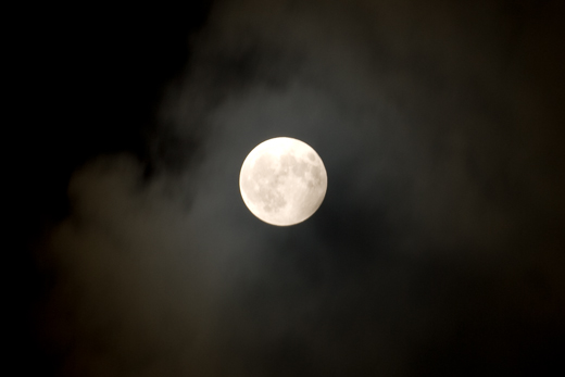 b0062363_22563857.jpg