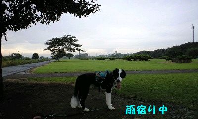 a0100564_9294431.jpg