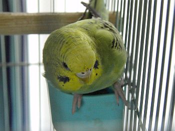 f0196665_0375268.jpg