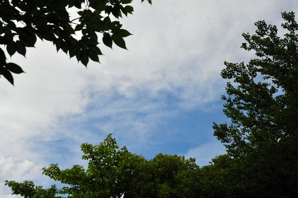 e0020166_1937143.jpg