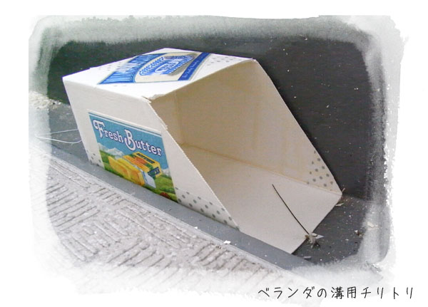 a0114467_1134213.jpg