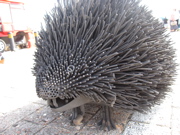 f0205268_732756.jpg