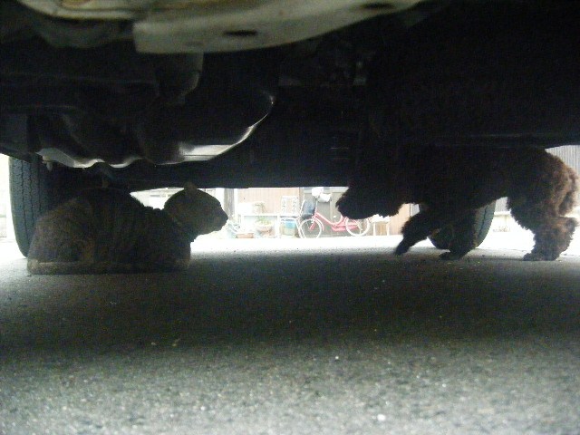 f0207970_13115229.jpg