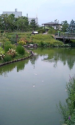 e0143671_1113622.jpg
