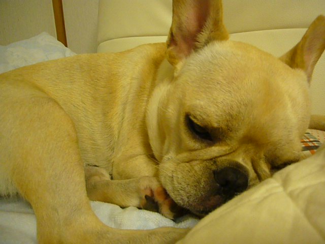 d0048577_1922487.jpg