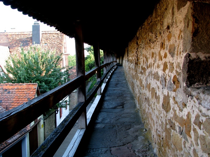 d0126577_20321921.jpg