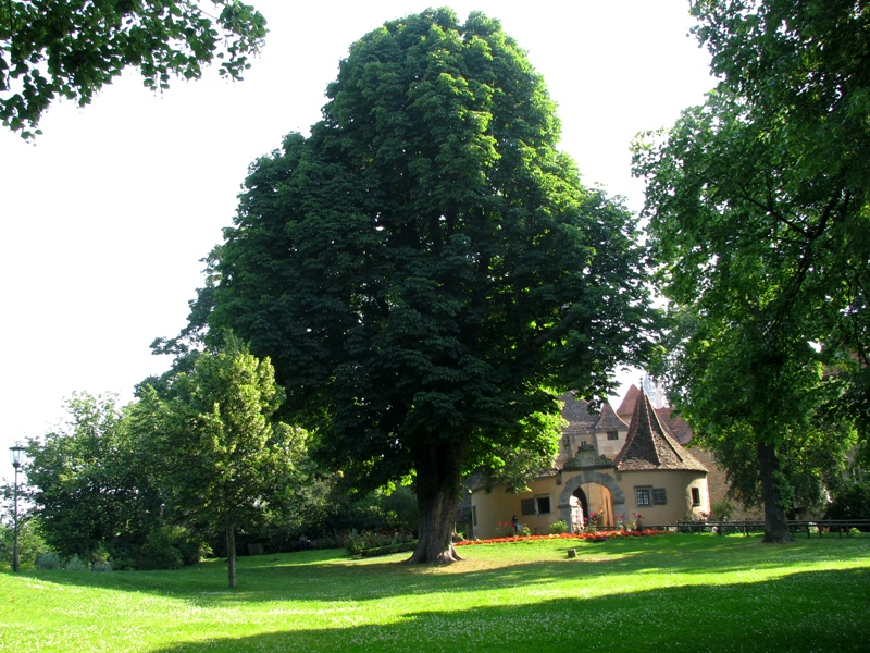 d0126577_20341093.jpg