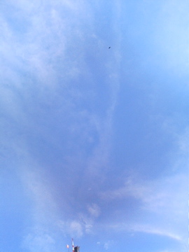 f0054677_8424285.jpg