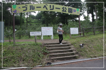 f0155381_15114645.jpg