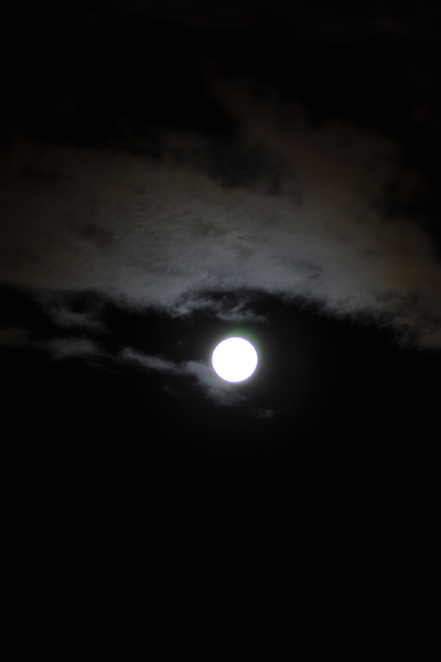 c0187782_052713.jpg