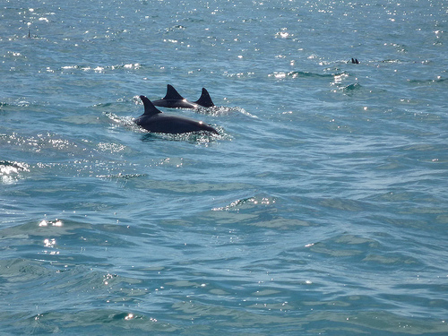 c0175883_22522636.jpg