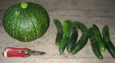 f0003283_4384845.jpg