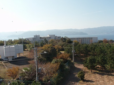 c0105785_1812875.jpg