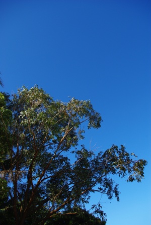 f0150785_20463970.jpg