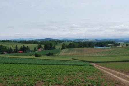 a0133886_15243983.jpg