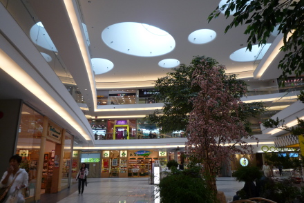 d0129786_13533850.jpg