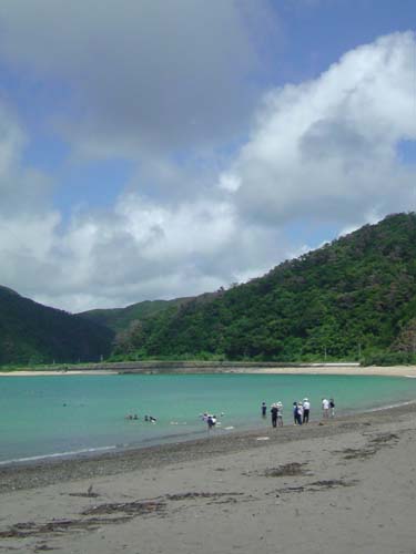 e0028387_0194558.jpg