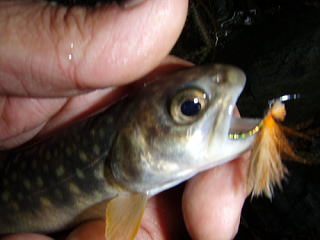 f0141392_23172756.jpg
