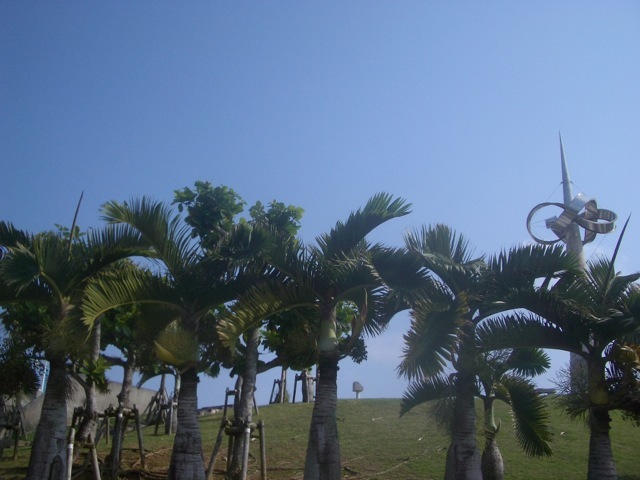 c0193396_1102472.jpg