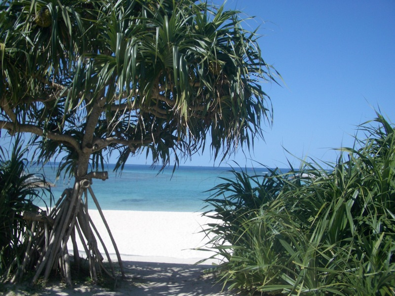 c0193396_1143240.jpg